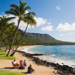 Редкие виды флоры и фауны Байкала Редкие виды флоры и фауны Байкала